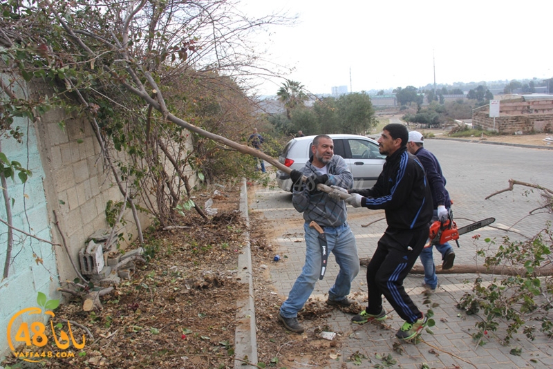 taso mashro3 tandaef (56).JPG